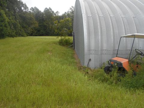 1992 Ford Bronco - An orange golf cart sits partially obscured by tall grass beside a large metal Quonset hut structure.