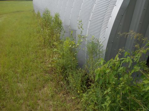 1992 Ford Bronco - Vegetation grows around the base of a large, curved corrugated metal structure.