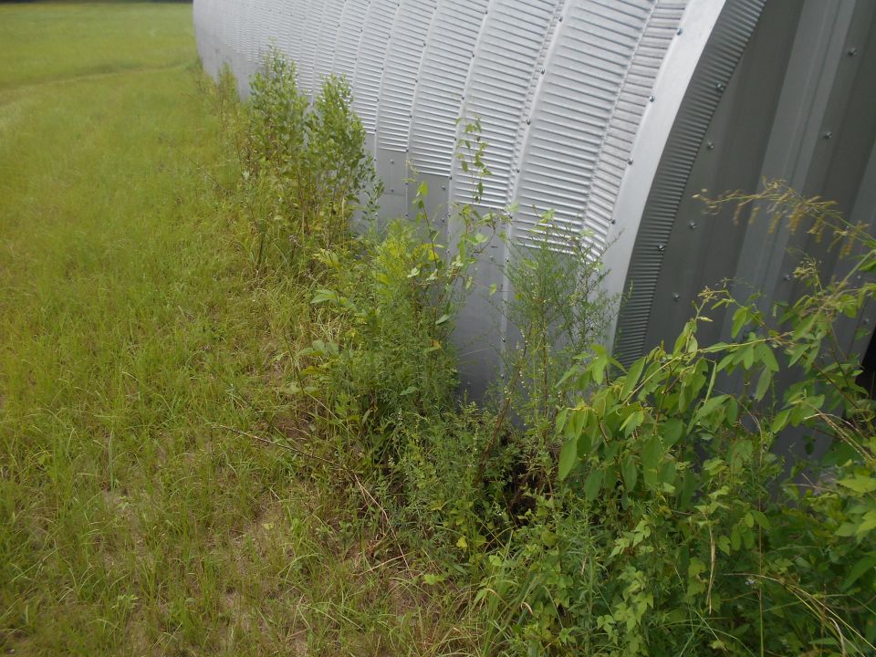 Overgrown grass and weeds obscure the base of a corrugated metal structure