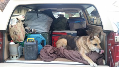 1985 Ford Bronco - The bed of a red 1985 Ford Bronco is packed with camping gear and a German Shepherd dog is resting on a blanket. Items include coolers, sto…