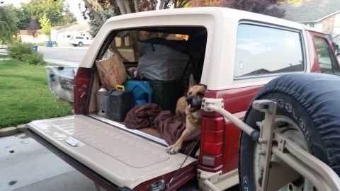 1985 Ford Bronco - The open tailgate of a red and tan 1985 Ford Bronco is filled with camping gear and a dog. A spare tire mounted on the rear bumper is also…