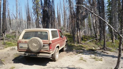 1985 Ford Bronco - The rear driver's side of a red 1980s Ford Bronco is parked on a dirt road in a forest with many dead trees. A spare tire with a Ford Bronc…
