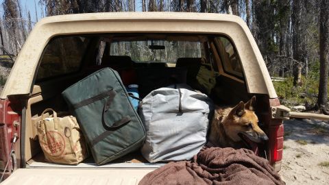 1985 Ford Bronco - The open tailgate of a red 1985 Ford Bronco reveals camping gear and a dog resting inside. The vehicle is parked in a wooded area with dry…