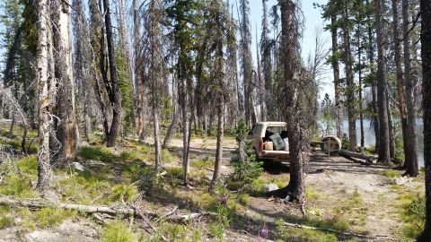 1985 Ford Bronco - A 1985 Ford Bronco is parked in a wooded area next to a lake. The vehicle has its tailgate down, revealing several bags packed for a trip.