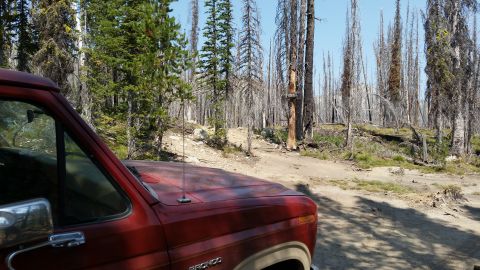 1985 Ford Bronco - The front driver's side of a red 1980s Ford Bronco is parked on a dirt road in a forest with many dead trees.