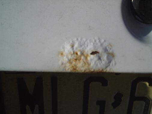 Close-up of bubbled rust paint on white panel above a New Jersey plate reading MLG