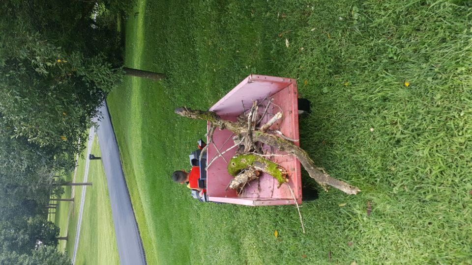 Person on a red cart filled with branches on a lawn.