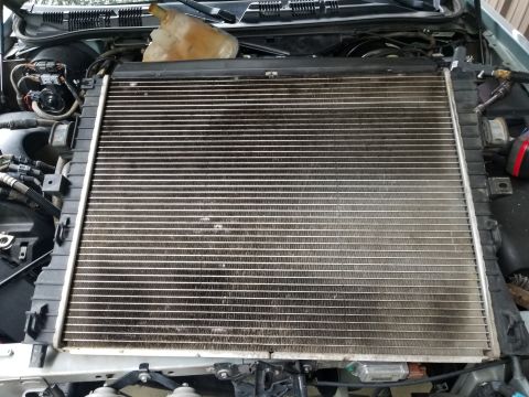 2004 Ford Crown Victoria - A big improvement. Screen behind the grill will keep it that way longer: [url=https://www.supermotors.net/vehicles/registry/media/1138979]…