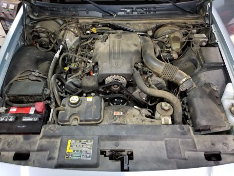 2004 Ford Crown Victoria - Other than the battery & compressor, the engine was pretty dirty.
