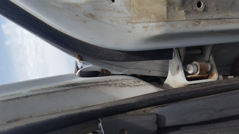 1995 Ford Bronco - A close-up view shows a white vehicle's door hinge area with visible rust and a black rubber seal. Several wasps are present on the vehicle…