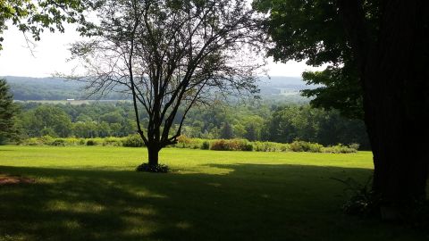 2000 Pontiac Grand Prix - A wide shot of a sunlit green lawn with trees in the foreground and a lush, forested valley in the background.