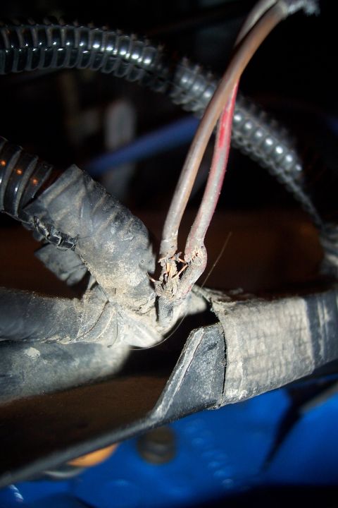1995 Ford Bronco - Damaged wiring harness with exposed and frayed wires, likely requiring repair.