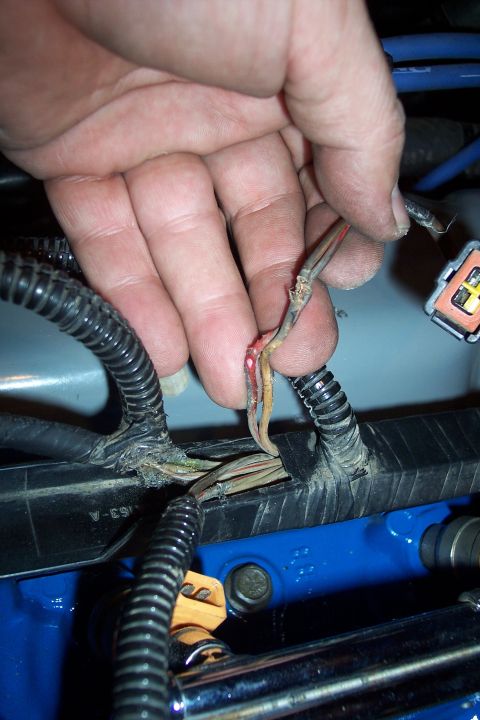 1995 Ford Bronco - Damaged wiring harness with exposed copper wires being held by a hand.