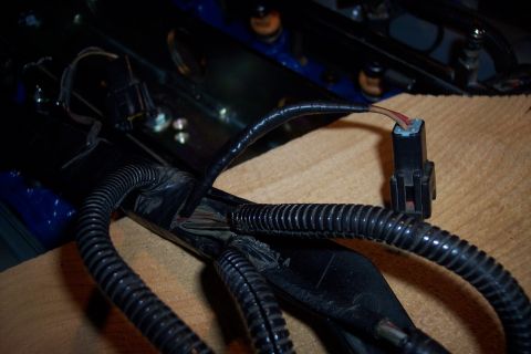 1995 Ford Bronco - This image shows a section of a vehicle's wiring harness, focusing on the connectors and protective tubing.