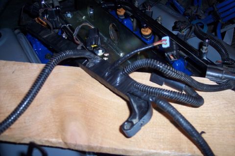 1995 Ford Bronco - Close-up view of an engine wiring harness, with blue fuel injectors in the background.