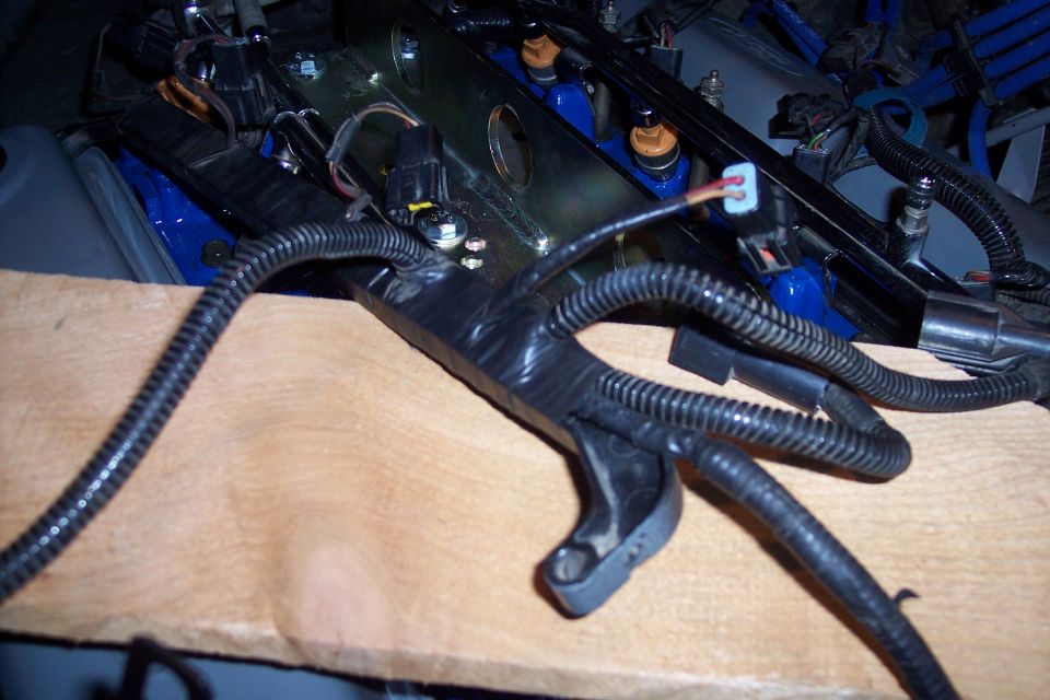 Engine wiring harness with blue fuel injectors visible