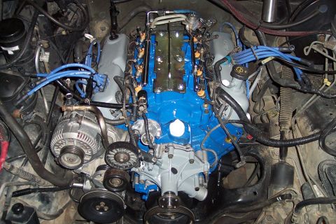 1995 Ford Bronco - Engine bay detail a blue intake manifold and grey valve covers, with visible fuel injectors and spark plug wires.