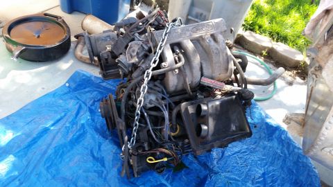1985 Ford Bronco - A Ford engine, likely from a truck or SUV, sits on a blue tarp. The registry claims it is from a 1985 Ford Bronco.