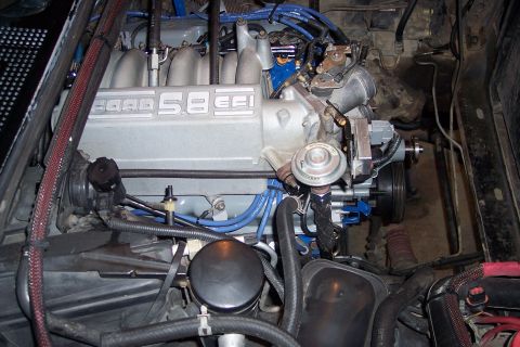 1995 Ford Bronco - Close-up of a Ford 5.8 EFI engine, showing the intake manifold and wiring.