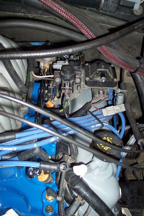 1995 Ford Bronco - Engine bay details with blue spark plug wires and various electrical connectors visible.