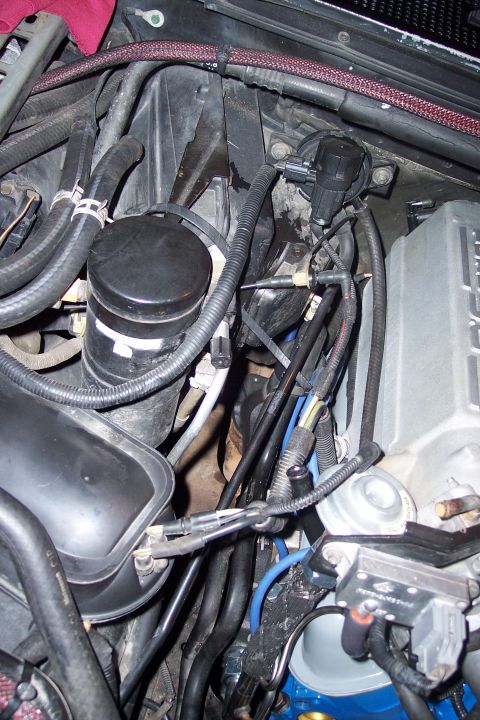 1995 Ford Bronco - Close-up view of the engine bay, showing various hoses and electrical wiring.