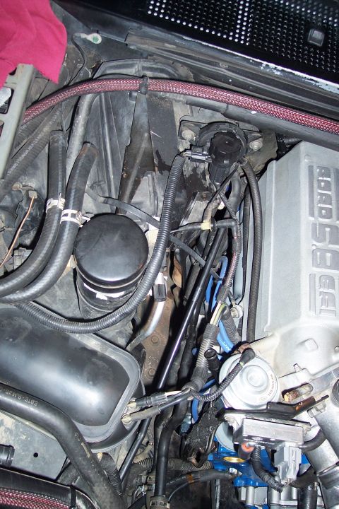 1995 Ford Bronco - Close-up view of engine components including an oil filter and various hoses.