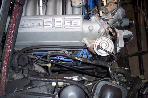 1995 Ford Bronco - Close-up view of a Ford 5.8 EFI engine, showing the intake manifold and various engine components.