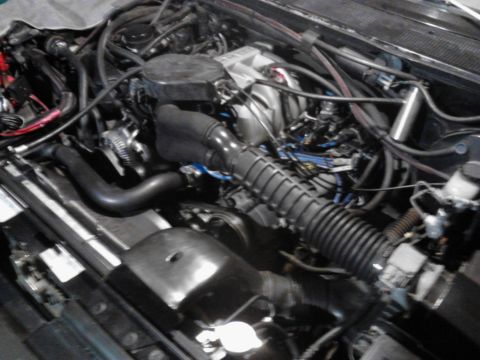 1995 Ford Bronco - Close-up view of an engine bay, showing various hoses, wiring, and engine components. A watermark for Supermotors.net is present.