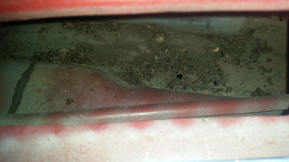 Close-up of a dirty cavity in a red vehicle, filled with debris and leaves
