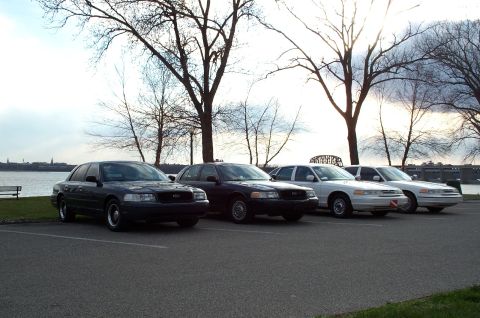 1998 Ford Crown Victoria - A line of Ford Crown Victorias are parked in a lot, with a waterfront and trees visible.