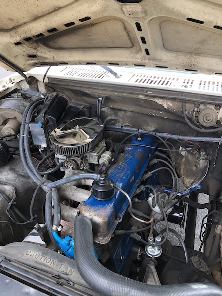 1981 Ford Bronco - The engine bay of a 1981 Ford Bronco shows its V8 engine with blue valve covers and a chrome air cleaner assembly.