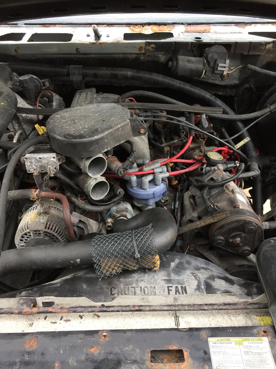Ford V8 engine bay with blue distributor cap, red plug wires, and 'CAUTION FAN' shroud