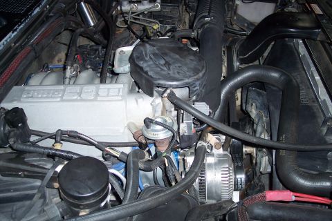 1995 Ford Bronco - Close-up view of a Ford 5.8L V8 engine, showing various components and wiring harnesses.