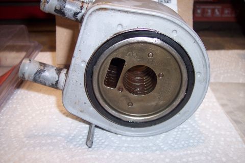 1995 Ford Bronco - This is a close-up view of a vehicle oil cooler, showing its threaded connection and hose ports.