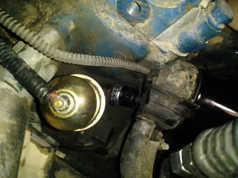 1996 Ford Bronco - Close-up view of engine components, including an oil pressure sensor and oil filter, with visible hoses and wiring.