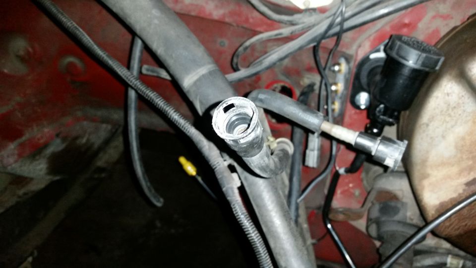 Engine bay with hoses, wires, and a brake fluid reservoir