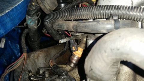 1985 Ford Bronco - Close-up view of a fuel injector and associated wiring within an engine bay.