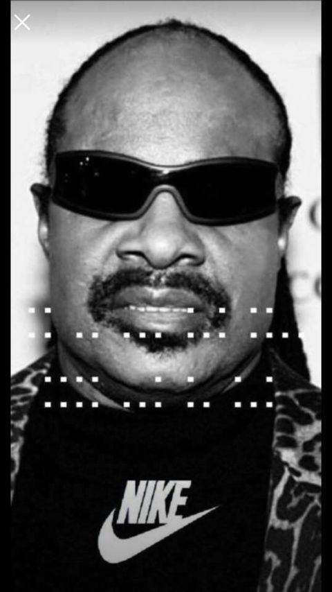 1996 Ford Bronco - A black and white headshot of Stevie Wonder wearing sunglasses and a Nike shirt.