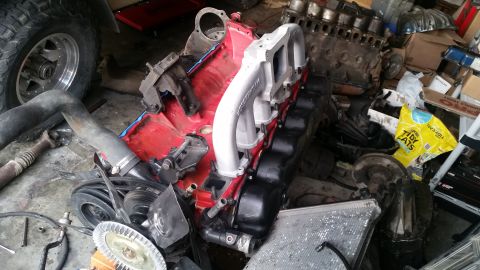 1985 Ford Bronco - A disassembled engine with a red block and silver intake manifold is laid out on a concrete floor amongst various automotive parts and boxe…