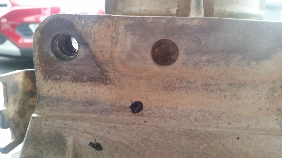 Close-up of a weathered metal automotive part with a threaded hole and a small insect.
