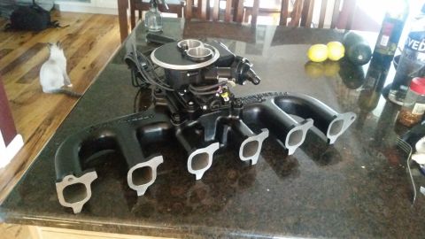 1985 Ford Bronco - A black aftermarket intake manifold with a carburetor is displayed on a granite countertop. A Siamese cat is visible on a wooden floor in t…