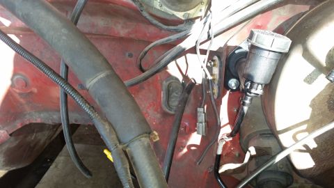1985 Ford Bronco - A close-up view of the engine bay of a red 1985 Ford Bronco, showing the brake fluid reservoir and various hoses and wiring.