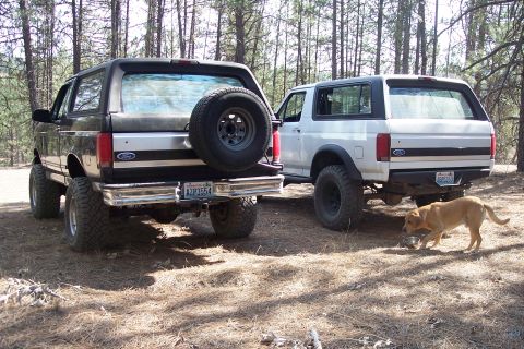1995 Ford Bronco