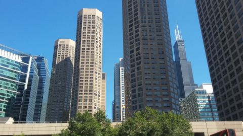 Skyscrapers against a clear blue sky with trees in the foreground.