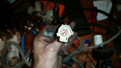1985 Ford Bronco - A hand holds a white electrical connector with pink terminals. The connector appears to be part of a wiring harness for a vehicle.