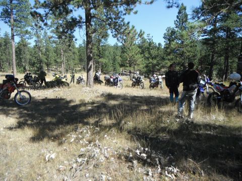 1987 Honda XL600R - A group of motorcycles are gathered in a grassy, wooded area, with several people standing nearby.