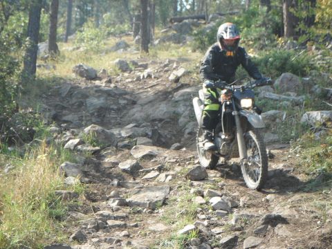 1987 Honda XL600R - A rider navigates a rocky trail on a dirt bike, with trees and brush visible in the background.