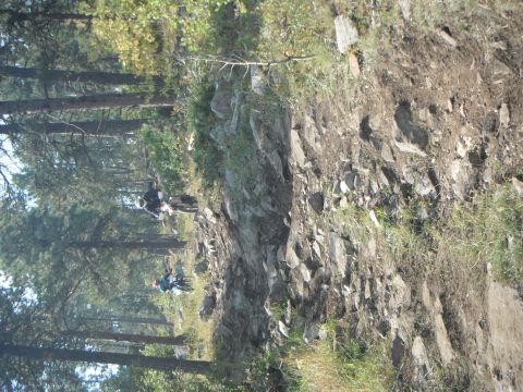 1987 Honda XL600R - Riders tackle a challenging off-road course through a forest with rocky terrain.