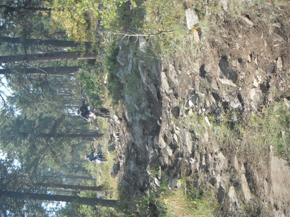 Two dirt bikes navigate a rocky, wooded trail