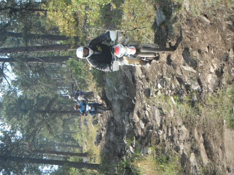 1987 Honda XL600R - Multiple motorcycles navigate a challenging, rocky path through a forest environment.